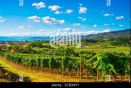 Vinci, sangiovese vineyards and village on background. Chianti production area, Florence, Tuscany Italy Europe. Stock Photo