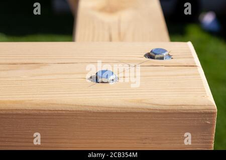 Close-up of fresh wooden beams connected by two self-tapping screws, chrome-plated caps of metal bolts during the construction on a summer day in a su Stock Photo