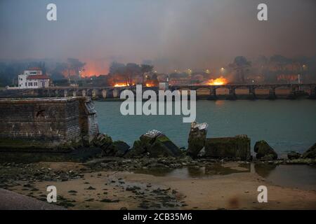 Chiberta forest arson on July 2020, 30 th. The arson devastated 165 hectares of forest and burnt 11 houses in the heart of Anglet. Wildfire. Blaze. Stock Photo