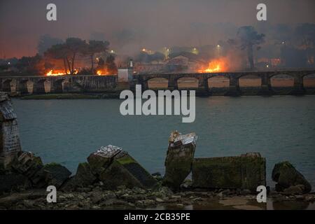 Chiberta forest arson on July 2020, 30 th. The arson devastated 165 hectares of forest and burnt 11 houses in the heart of Anglet. Wildfire. Blaze. Stock Photo