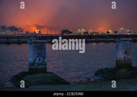 Chiberta forest arson on July 2020, 30 th. The arson devastated 165 hectares of forest and burnt 11 houses in the heart of Anglet. Wildfire. Blaze. Stock Photo