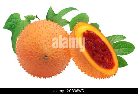 Gac fruit or Baby Jackfruit isolated on white background Stock Photo