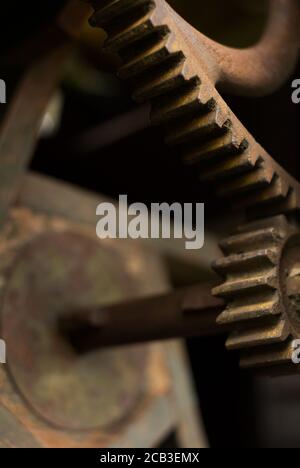 Gearwheel / cogwheel - detail of simple machine. Mechanical device with cogged and toothed wheels. Old retro instrument is covered by dust Stock Photo