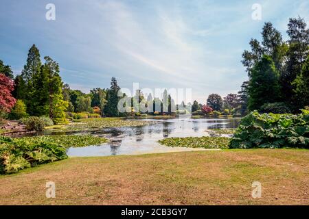 Brighton UK, August 10th 2020: Fabulous weather in the National Trust's re-opened Sheffield Park Gardens in East Sussex, where visits need to be pre-booked and timed. Credit: Andrew Hasson/Alamy Live News Stock Photo