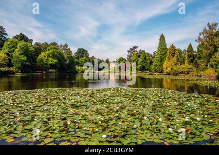 Brighton UK, August 10th 2020: Fabulous weather in the National Trust's re-opened Sheffield Park Gardens in East Sussex, where visits need to be pre-booked and timed. Credit: Andrew Hasson/Alamy Live News Stock Photo