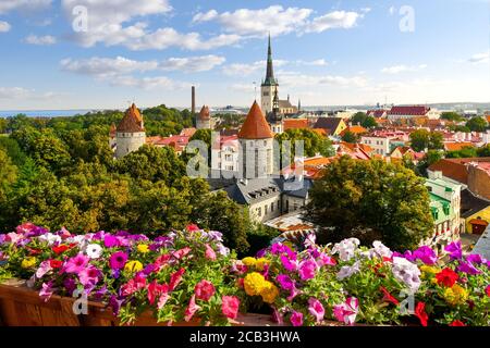 Late afternoon view from Toompea Hill overlooking the medieval walled city of Tallinn Estonia along the Baltic coast of Northern Europe. Stock Photo