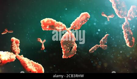 Molecular model of antibody taking part in immune defence. Molecule of immunoglobulin on dark background, 3D illustration Stock Photo