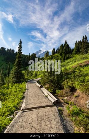 Trail designed to protect fragile meadow in July in the Paradise area of Mount Rainier National Park, Washington State, USA Stock Photo