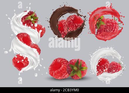 3D realistic raspberry in milk splash and chocolate splash. Juice raspberry with drops. Fresh red raspberry on transparent background. Organic berries.Detailed vector illustration. Stock Vector
