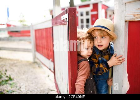 Small boy and girl on farm, opening red and white gate. Stock Photo