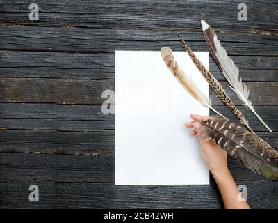 Feather in female hand, clean sheet of paper. Space for text Stock Photo