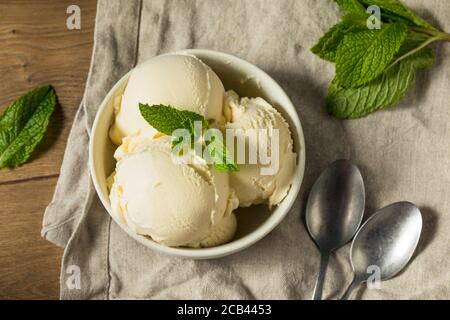 Homemade Frozen Vanilla Ice Cream in a Bowl Stock Photo