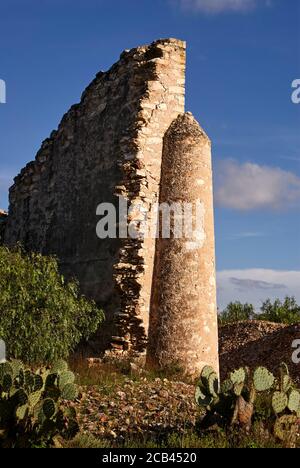 Ruined wall of a building at the 19th century Mina Santa Brigida mine, Mineral de Pozos, Guanajuato, Mexico Stock Photo