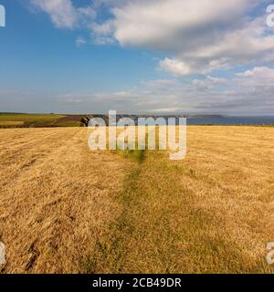 The South West Coast Path heading for Porth-cadjack Cove over the Caravannel Downs near Portreath, north Cornwall, UK. Stock Photo