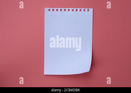White sheet of notepad on a pink background. Blank paper sheet top view. Stock Photo