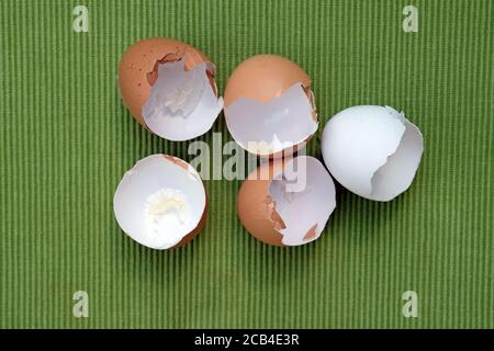 Eggshells brown and white on a green background. Chicken egg shells. Stock Photo