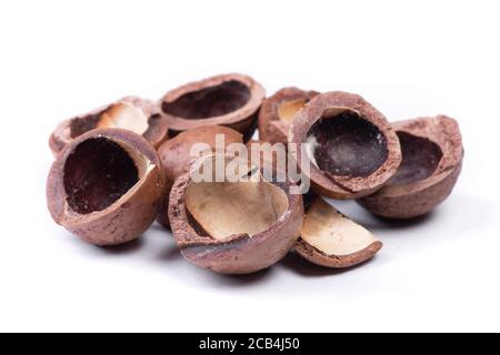 Heap of empty macadamia nut shell isolated on white background Stock Photo