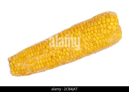 Frozen corn cob isolated on white background Stock Photo