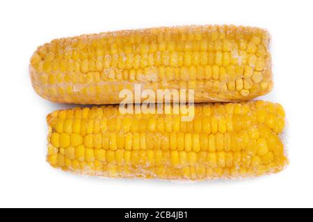 Frozen corn cob isolated on white background Stock Photo