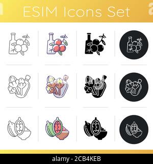 Indian spices icons set. Aromatic flavoring. Asian seasonings. Clove buds. Red juniper berries. Green cardamon pods. Linear, black and RGB color style Stock Vector