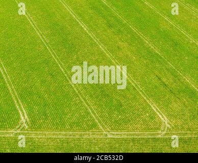 Aerial of green agricultural field with traces of spraying acitivities by tractor Stock Photo