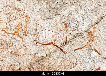 Matobo hills, 'White Rhino cave' rock painting site, rock art, Matobo National Park, suburbs of Bulawayo, Matabeleland South, Zimbabwe, Africa Stock Photo