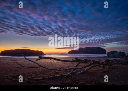 Dramatic cloud formation over a beach at sunset with driftwood.  Stock Photo