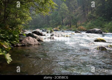 Rolling water rapids flowing downstream into the picture with forest view all around the river banks