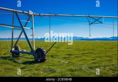 New Zealand Countryside Scenes: Irrigation Infrastructure: Centre-pivot Irrigator watering a circular or semi-circular paddock. Stock Photo