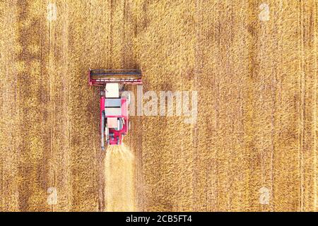 Aerial view drone of harvest field with tractor mows dry grass. Autumn yellow field with a haystack after harvest top view. Harvesting in the fields Stock Photo