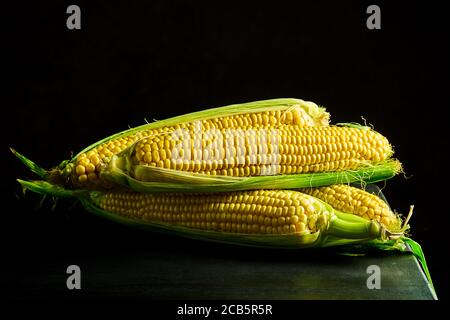 Cobs of ripe raw corn on a dark wooden table. healthy food, fresh raw corn cobs, rustic style Stock Photo