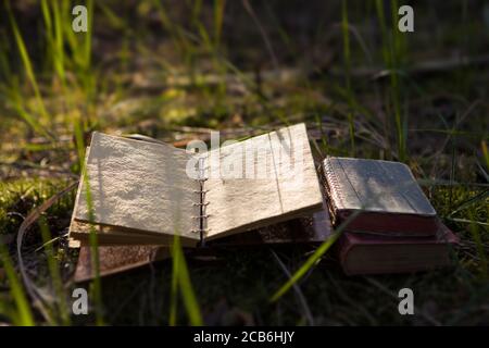 Vintage book with blank pages. Stock Photo