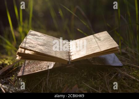Old book with open blank pages. Stock Photo