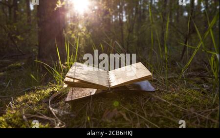 Old book with open blank pages. Stock Photo