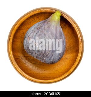 Fresh, ripe and whole fig, in a wooden bowl. Edible and raw fruit with purple skin. Common figs can be eaten fresh, dried or as jam. Ficus carica. Stock Photo