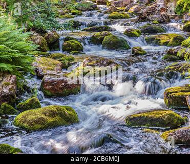 Running water from Sweden Njupeskär waterfall that rushes down between mossy rocks during sunset Stock Photo