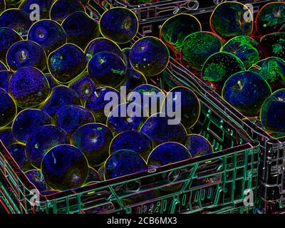 Apples organic fruit health food store on the market neon style Stock Photo