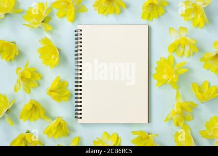 Spiral Notebook or Spring Notebook in Unlined Type and Yellow Flowers on Blue Pastel Minimalist Background Stock Photo