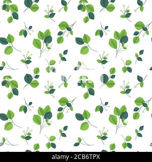 Eucalyptus silver dollar brunch. Beautiful decorative gum tree natural foliage. Stock Vector