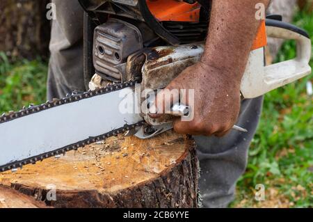The lumberjack adjusts the chainsaw for work. Hard wood working in forest. Close up. Stock Photo