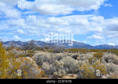 Mojave desert scenic landscape with New York mountains. USA travel Stock Photo