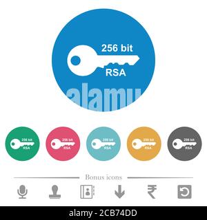 256 bit rsa encryption flat white icons on round color backgrounds. 6 bonus icons included. Stock Vector