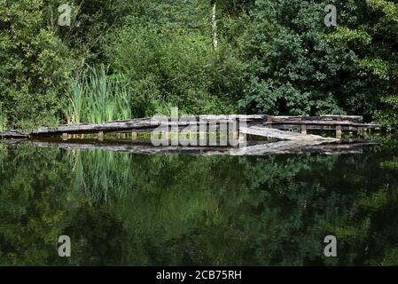 The remains of an old canal boat are reflected in the still waters of the beautiful Basingstoke Canal near Mychett in Surrey Stock Photo