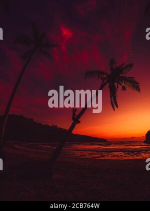 Traveler man sitting on palm and bright sunset at tropical beach with ocean Stock Photo