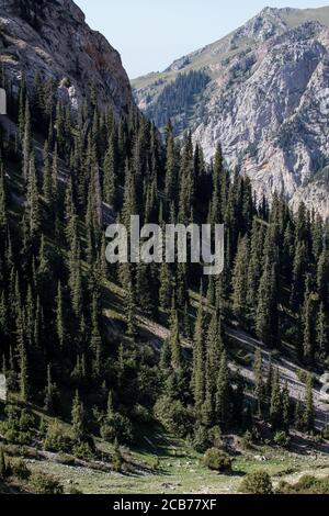 Scenes from Son Kol Lake in Kyrgyzstan's Naryn Oblast Stock Photo - Alamy