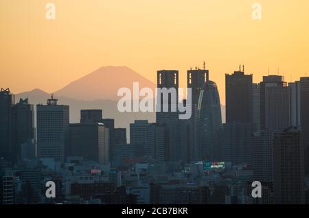 View towards the Shinjuku Skyline and Mount Fuji from the Bunkyo Civic Building Viewing Platform, Tokyo, Japan Stock Photo