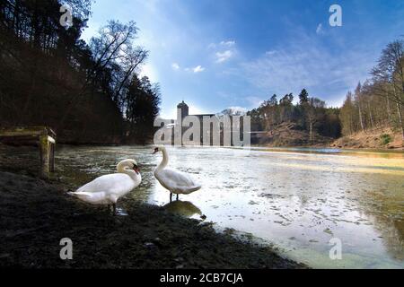 Kost Castle - gothic medieval stronghold in Bohemian Paradise, swans, Cesky Raj, Czech Republic. The best photo Stock Photo