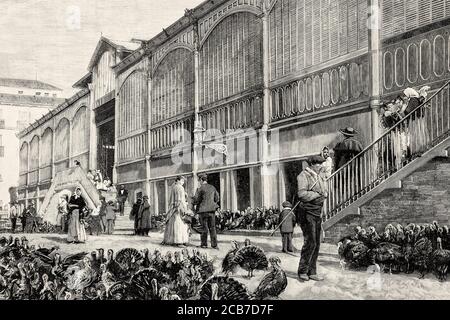 Sale of turkeys to be slaughtered at christmas. Old Mostenses Market at the end of the 19th century, food market in the city of Madrid, Spain. Old XIX century engraved illustration from La Ilustracion Española y Americana 1894