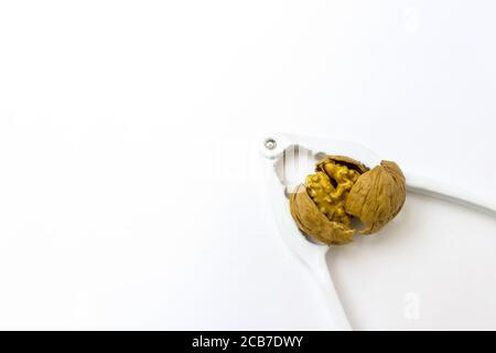 Close up of walnuts being cracked. Broken Walnut in Nutcracker on white Stock Photo