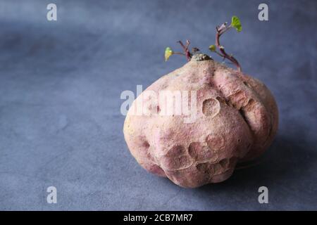 Close up of sweet potato on on black background . Stock Photo